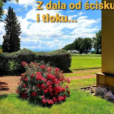 Palac Bazantarnia * Pless