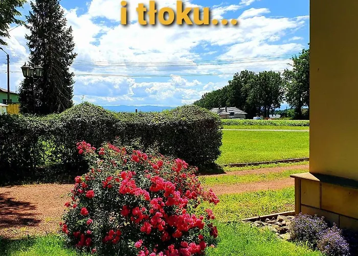 Palac Bazantarnia * Pszczyna