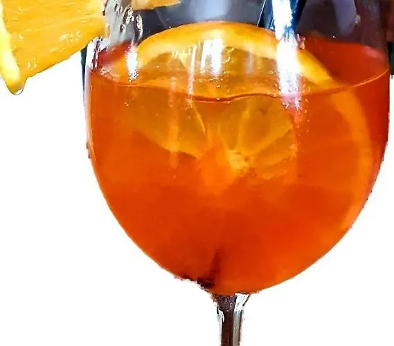 Hotel Palac Bazantarnia Pszczyna