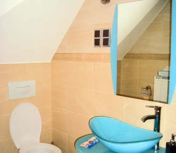 Palac Bazantarnia Hotel *