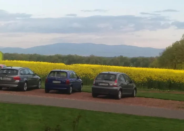 Hotel Palac Bazantarnia