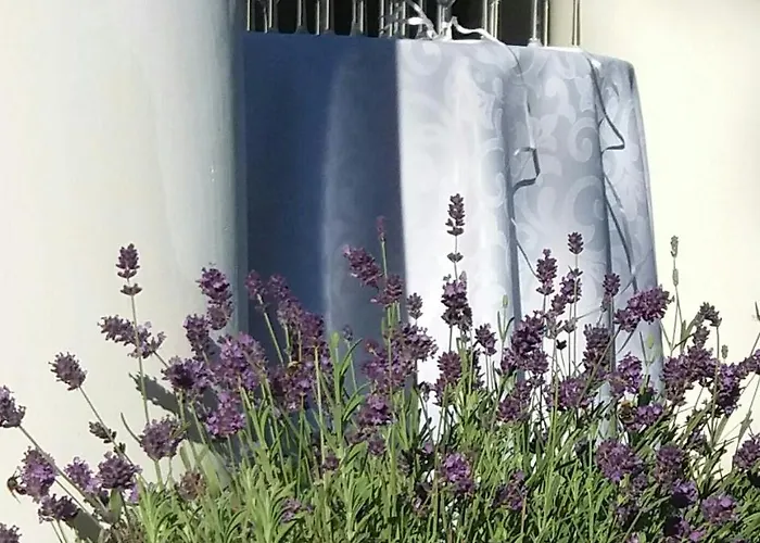 Palac Bazantarnia Pszczyna